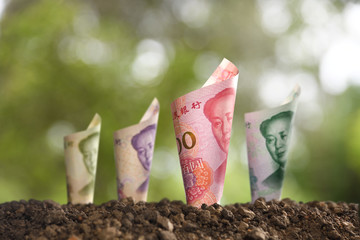 Image of rolled bank notes on soil for business, saving, growth, economic concept