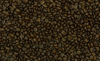 Many coffee beans background and texture.