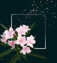 Sweet Oleander dark background