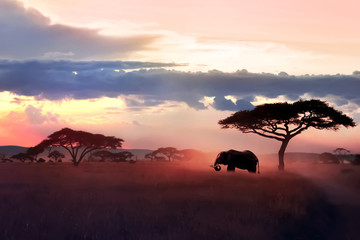 Wild African elephant in the savannah. Serengeti National Park. Wildlife of Tanzania. African art...