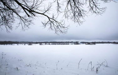 landscape of winter estonia