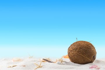 relaxation on summer exotic sandy beach concept