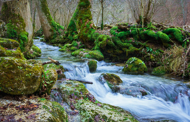 Obraz premium Flusslauf mit Moos 