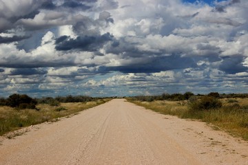 road in desert