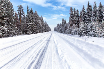 Snowy road in the middle of the woods