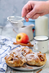 Puffs of apples and cinnamon on a plate sprinkled with powdered sugar.