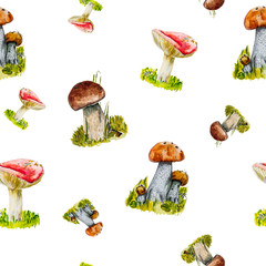 Fototapeta na wymiar Watercolor painting with edible mushrooms.