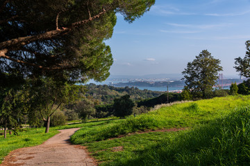 view of Monsanto park in Lisbon