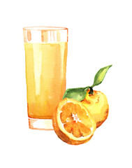 Watercolour hand painted exotic orange juice illustration on white background