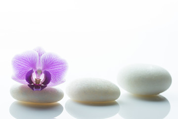 Three white rondstones and a purple orchid blossom on one of them isolated on white background