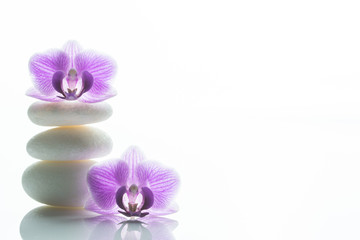 Two purple orchid blossoms - one on top of a pile of three white roundstones and the other next to it - plenty of text space