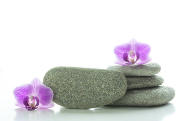 Two purple orchid blossoms - one on top of a pile of three grey roundstones and the other next to a grey roundstone - text space