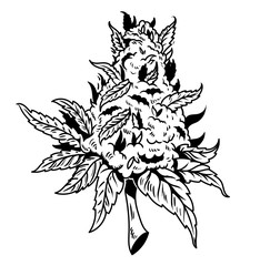 cannabis drawing design 