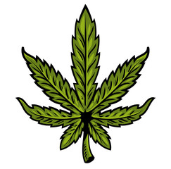 leaf of marijuana 