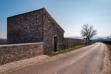 route des grands crus