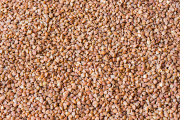 Background of buckwheat groats. Growing and selling buckwheat_
