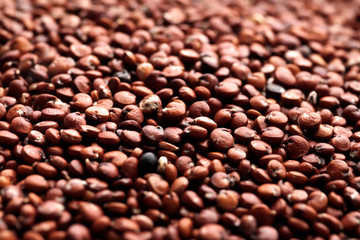 Organic Red Quinoa seeds (Chenopodium quinoa) in full frame background. Micro Closeup, Top view.