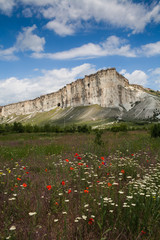 Obraz premium sheer white cliffs over a field of white and red wild flowers under a cloudy sky in sunny day