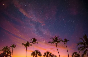 Deurstickers Nachtblauw tropische zonsondergang op het strand