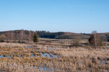 Ehemalige Klärteiche im Dreba-Plothener Teichgebiet