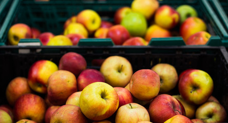 fresh fruits apples in a counter in market mall food concept photography
