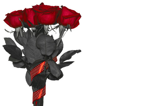 Bouquet of red roses on a white background with coloder in black and white leaves. Isolated