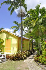 Fototapeta na wymiar Wooden Cottage in St. Kitts