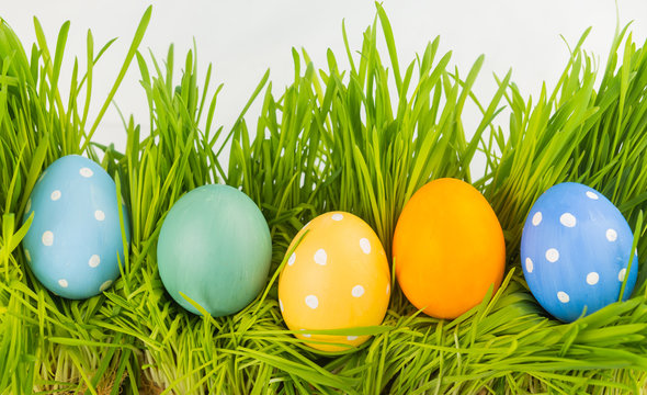 Easter eggs in Green Grass