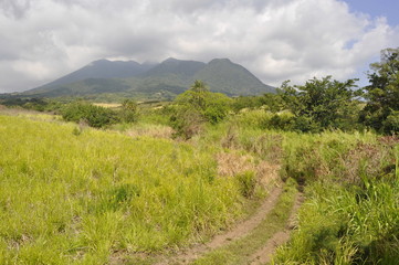Fototapeta na wymiar Landscape of St. Kitts