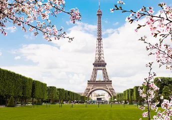  Spring in Paris. © Valeri Luzina