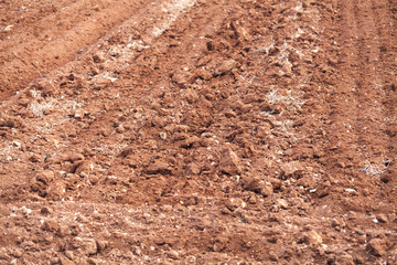 Plowed red soil of an empty field