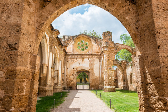 Ruins of the church of the Monastery of Piedra