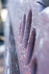 Bench in a city Park in the spring season, close up