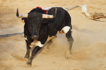 toro español