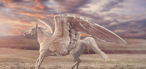 Rosy Sunset Pegasus  © Black Dove Studio