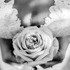 Braut hält eine Rose mit eingesteckten Eheringen