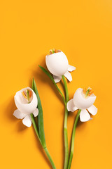 Spring Easter flowers made of eggshell on bright yellow