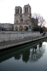 Fototapeta na wymiar Paris - Cathédrale Notre-Dame de Paris