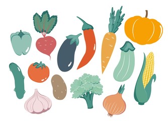 vegetable set. vector illustration of different vegetables in the flat style
