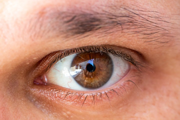 Close-up macro of beauty male brown eye with perfect shape eyebrows. Beautiful clean skin, fashion natural makeup. Good vision, lenses
