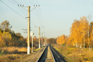Fototapeta na wymiar Park in Nerekhta. Kostroma oblast. Russia