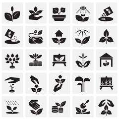 Grow icons set on squares background for graphic and web design, Modern simple vector sign. Internet concept. Trendy symbol for website design web button or mobile app
