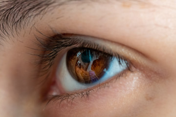 Obraz premium Close-up macro of beauty female brown eye with perfect shape eyebrows. Beautiful clean skin, fashion natural makeup. Good vision, lenses