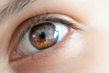 Close-up macro of beauty female brown eye with perfect shape eyebrows. Beautiful clean skin,...