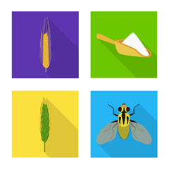 Isolated object of wheat and corn icon. Set of wheat and harvest stock vector illustration.