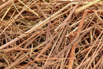 Close-up of a haystack for rural background