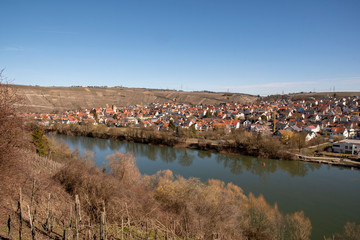 Fototapeta na wymiar View over the Neckarschleife and Hessigheim under a blue sky