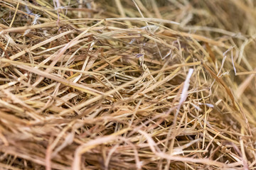 Close up of straw