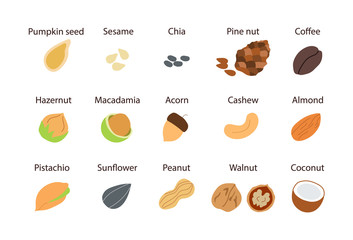Colorfull icons with different nuts and seeds. Organic healthy food concept. Vector background for your design