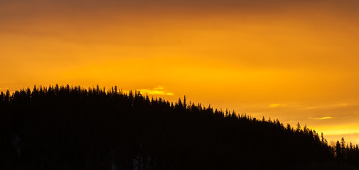 Boreal Silhouette - Sunset Sky